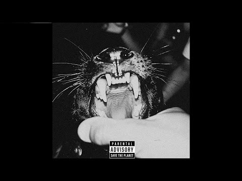 [FREE] Future x Nardo Wick Type Beat - Trance
