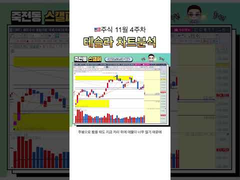테슬라 차트분석(11월 4주차) #테슬라 #차트분석 #주가분석 #종목분석 #주식 #트레이딩