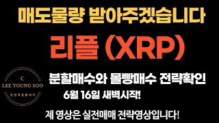 [코인이영수 차트분석] 6/16 시작 Ripple 리플 매도물량 받겠습니다. 분할과 몰빵전략확인!!