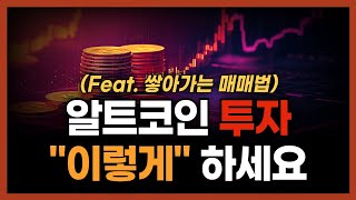 "알트코인 투자는 이렇게 하세요." 백전백승할 수 있는 알트코인 투자법