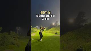 일잘하시는 캐디님 만난적 있으시죠다들!? #골프 #캐디
