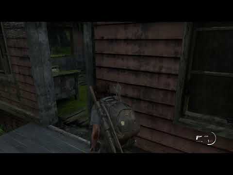 Last of Us Part II