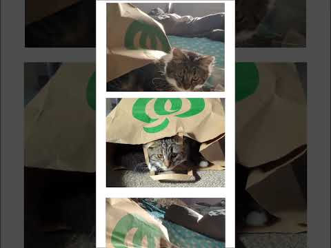 What's in the bag?!!!