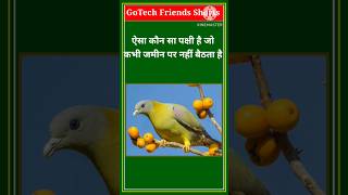 #gk #gkinhindi #shorts #gkshorts #gkfacts #shortvideo #short #news