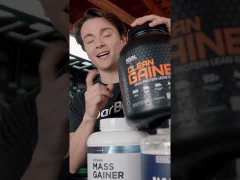 Our FAVORITE Mass Gainers in 2024!