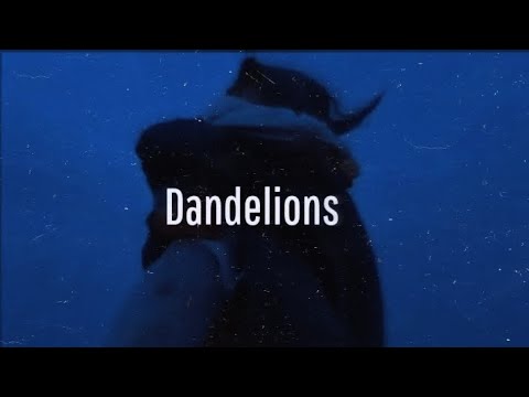 Ruth B. - Dandelions (TikTok Edit) | Lyric Video |