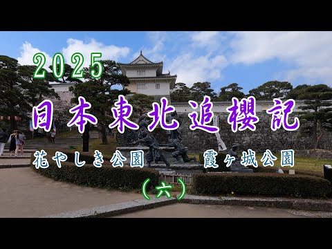 2025年4月，日本東北追櫻記(六)。花屋敷公園(花やしき公園)，必見！ 穴場賞花秘境。二本松城遺址(霞ヶ城公園)，日本櫻花百選名所。