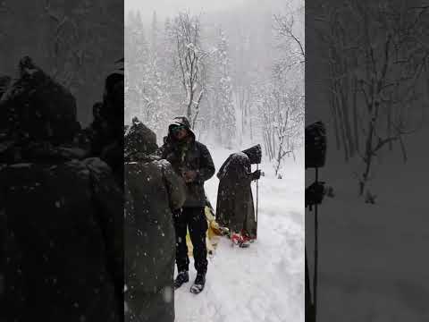 Kedarkantha Shepherd Camp