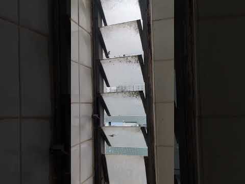 2024/2/20 3:10pm CY hse sewage over window vlog