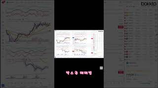 박스권 매매법