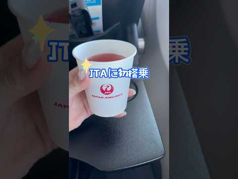 JTA初搭乗✈️！バードストライクで遅延😂