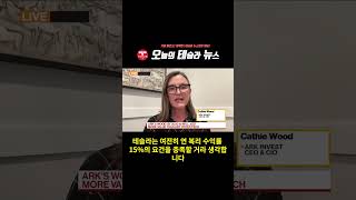 테슬라 주가 $2,000 달러 간다! 이유는?