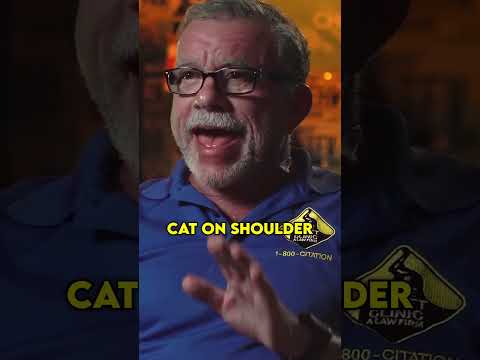 Can you get a ticket for driving with a cat on your shoulder?