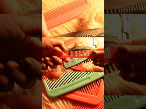 Which comb sounds better orange, green or grey?ASMR #asmrsounds #tinglytriggers #tingley