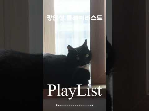 광합성 플레이리스트