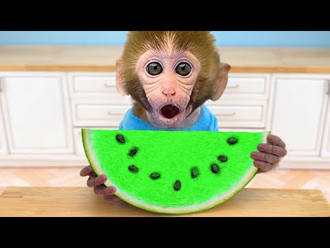 Macaco Bon Bon colhe frutas na fazenda com o patinho fofo | BonBon em Português