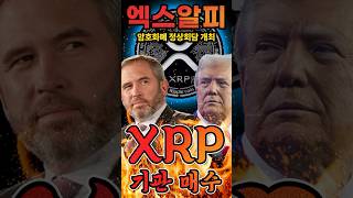 엑스알피 XRP, 트럼프가 직접 나선 3,000배 상승