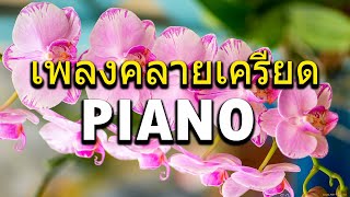 เพลงบรรเลงผ่อนคลาย 3 ชั่วโมง - ดนตรีผ่อนคลายยามเช้า เริ่มวันใหม่อย่างมีความสุข - ฟังเพลงยามเช้า