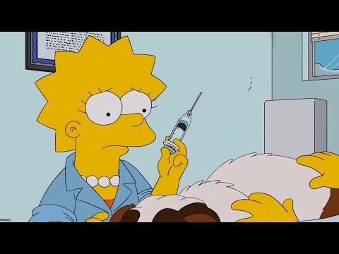 Lisa Became a Veterinarian