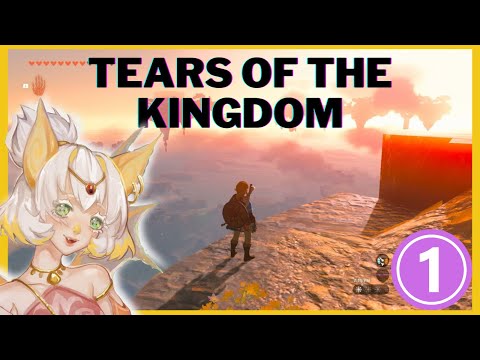 Finally getting to the game! || Tears of the Kingdom Part 1