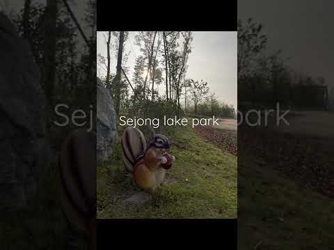 Green Sejong lake park