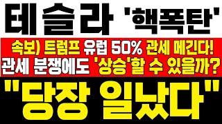 [테슬라 주가전망] 미노출 - *YTN 긴급속보* 美 EU 50% 관세 부과! 6월 로보택시 본격 출시에 500달러 가능할까? !목표가 확인 필수 !대응필수 !완벽분석