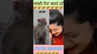 padha likha Bandar #shorts #comedy #reels #funny #viral #ytshorts #reelsfools#Tipuup44