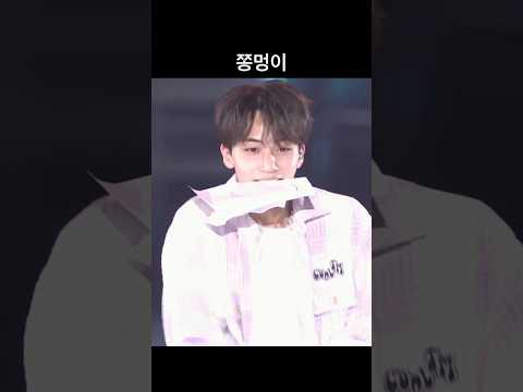 [세븐틴/정한] 쫑멍이