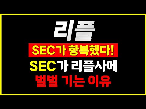 리플, 한마디에 SEC 벌벌 긴다? SEC의 4년 전쟁 항복 선언에 숨겨진 진짜 의미?