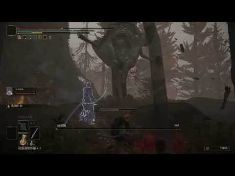 Wormface in 10s  Kurosaki is op !!!  | ELDEN RING 艾爾登法環 |蚯蚓臉vs黑崎一護