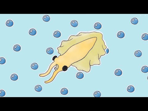 nectocaris !! music for cambrian animals