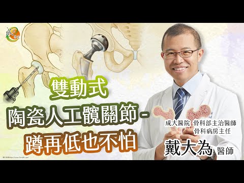 髖關節痛～竟是股骨頭缺血性壞死！怎麼處理？戒酒停用類固醇、運動訓練臀肌肉、微創人工髖關節。雙動式人工髖關節降低脫臼機會。