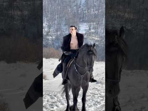 YUNGBLUD - the horses name is Harry #yungblud #shorts