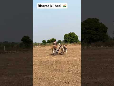 Bharat ki beti #animals #funny #love #farming #song ##kheti_badi #khetibadi #kheti #podcast