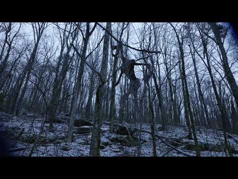 We saw Siren head during our shoot.  Check it out!