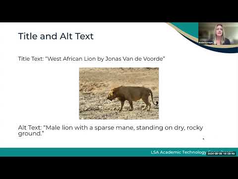 Accessibility for Images & Video