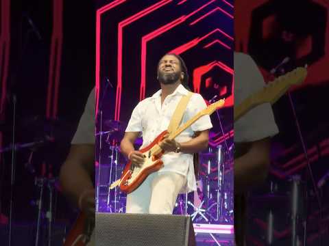 Guitar man. #tobago #fusion2025  #shorts