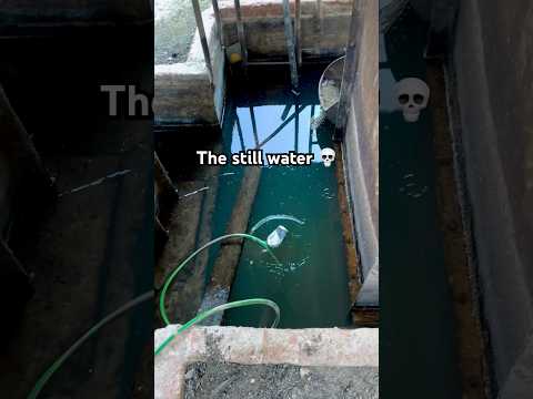 Finding the stillest of water 💀 #abandoned #urbex #abandonedplaces