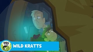 WILD KRATTS | Dragonfish Powers | PBS KIDS