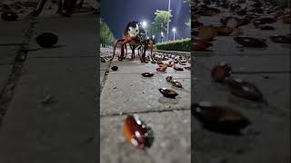 What is this bizarre creature? 😳 #creaturefeature #uncannyvalley #paranormal