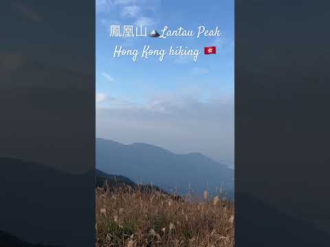 鳳凰山 Hike 香港第二高峰 ⛰️ Hong Kong's second-highest mountain