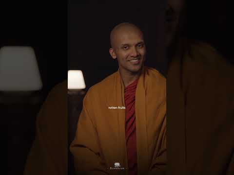 Do not seek revenge | Buddhism In English