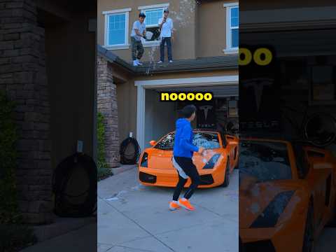 Bird Poop Prank On Lamborghini! #shorts