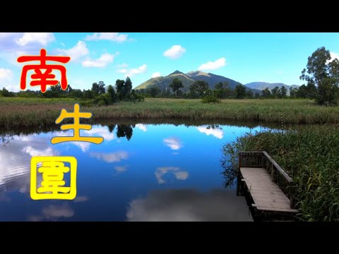 【悠遊香港】南生圍 (加長版本) | 劇院式製作 | Cinematic Production