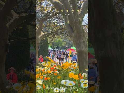 함평 나비🦋 대축제💐축제기간 : 2024. 4. 26.(금) ~ 5. 6.(월)📍축제작소 : 함평엑스포공원 일원 #제26회함평나비대축제