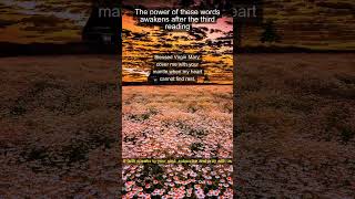 The Lords Prayer in 30 Seconds#LordsPrayer #CatholicPower #DailyFaith