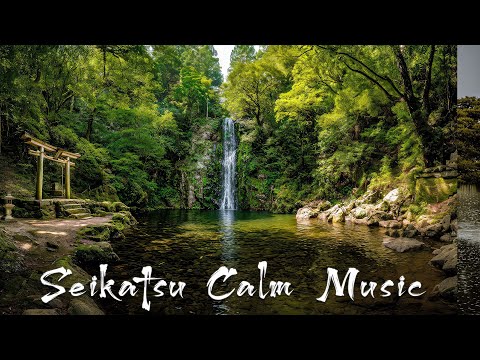 Zen Harmony  | Japanese Zen Music for Deep Relaxation & Inner Peace