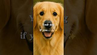 Your DOG! 🐶 #DogLovers #Pawfect #DogLife