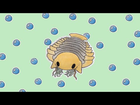 sanctacaris !! music for cambrian animals