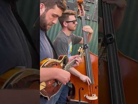 Banjo Song #jam Grateful Dead 5/11/25 Matt Hartle Gold CalTucky Band #gratefuldead #banjo #banjojam